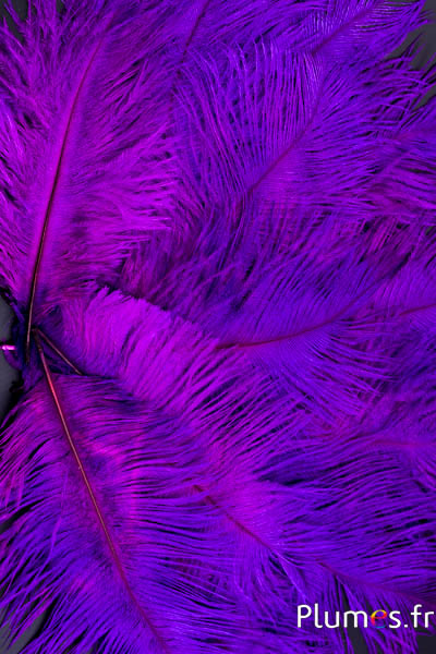 Autruche - 13-18 cm - fuchsia-violet